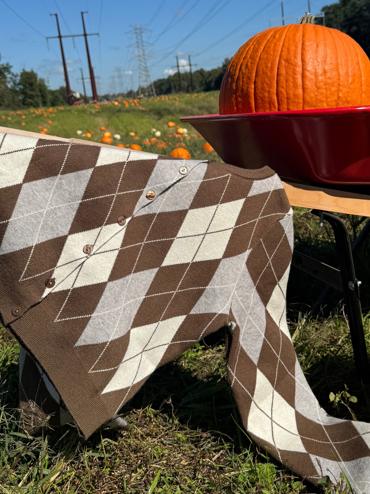 Willow Knit Cardigan